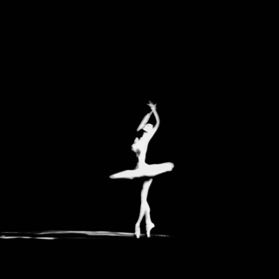 #2025-07-19 | White Swan