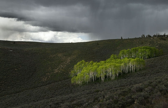 Summit Loop, Ely, Nevada 2023