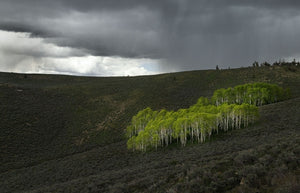 Summit Loop, Ely, Nevada 2023