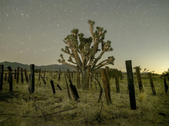 New York Mountains #3