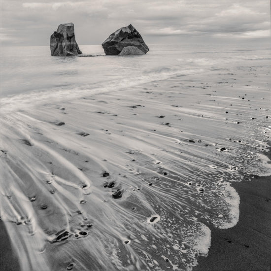 Feathered Sea Foam