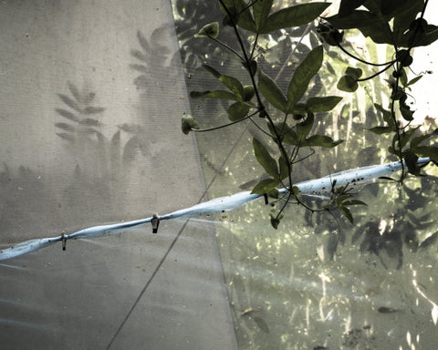 Casa Delle Farfalle No 4