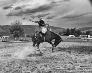 Bronco Riding