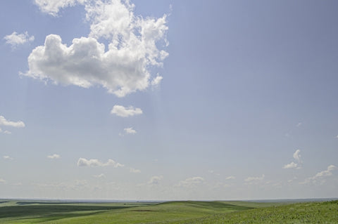 Cloud Shadows On The Prairie