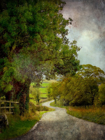 Country Lane