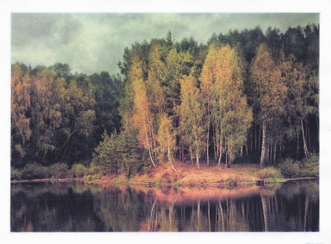 The Landscape Near The Lake