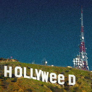 #2024-09-17 | Hollyweed