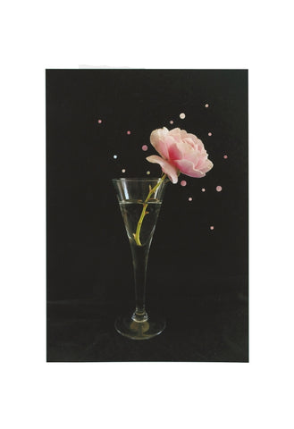 A Rose 2