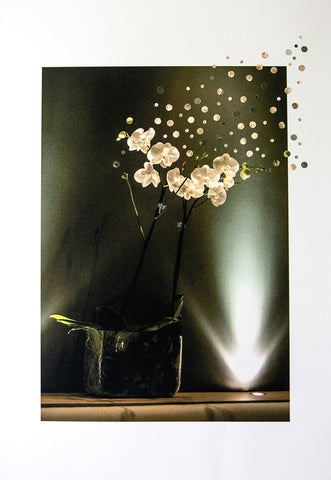 Night Orchids 3