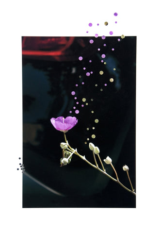 Poppy Talk 2