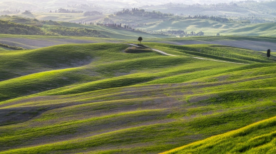 Tuscan Waves