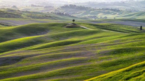 Tuscan Waves