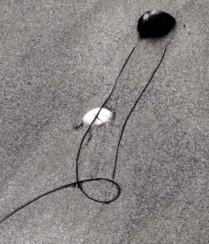 Low Tide On A California Beach 2000