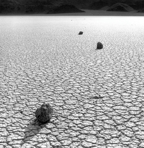 The Race Track Dvnp 1983