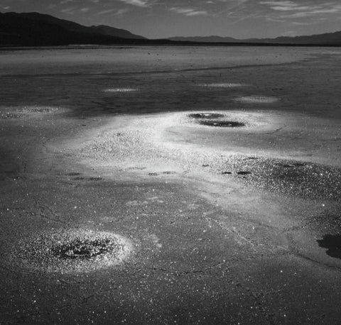 Valley Floor 2 Dvnp 2001