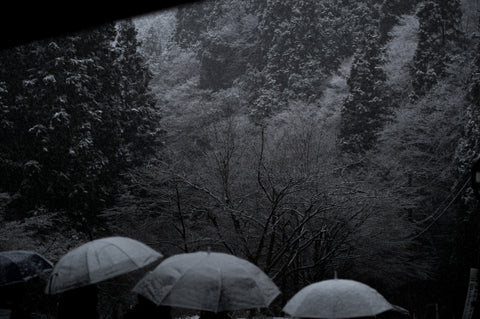 Interface/interference 63