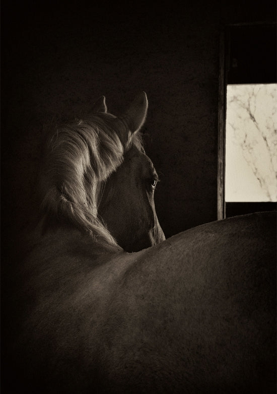 Barn Light #2