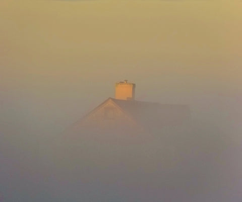 Sleepytime Fog