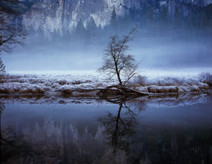 Mist In The Valley