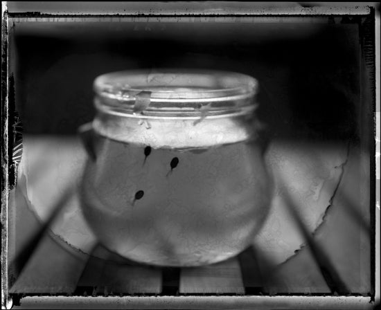 Tadpoles In A Jar