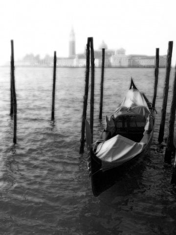 Venice, 2007