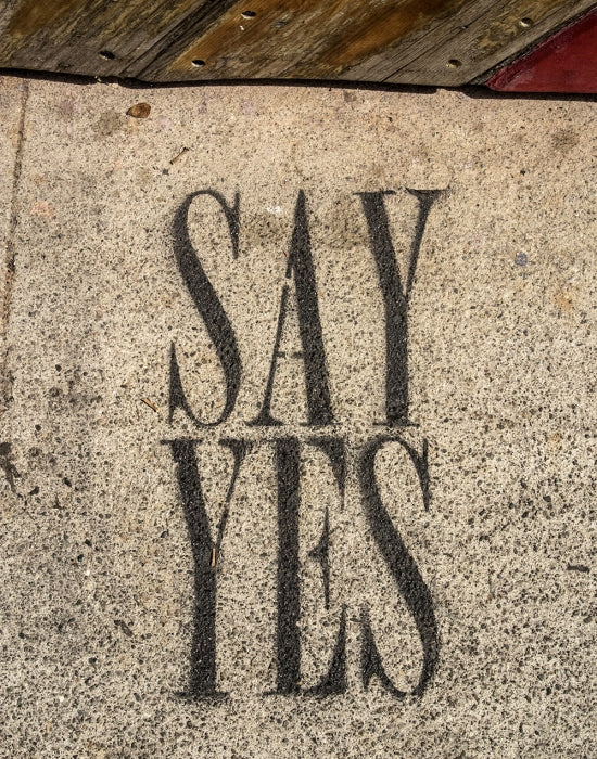 Say Yes