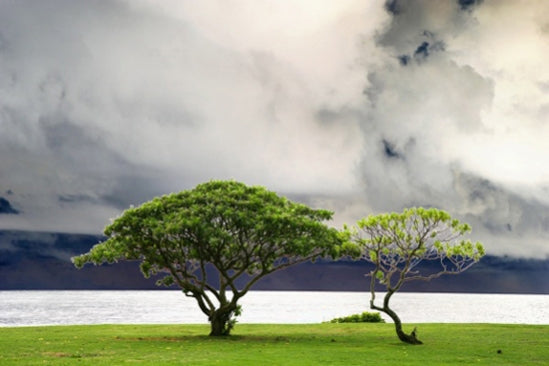 Poipu Beach