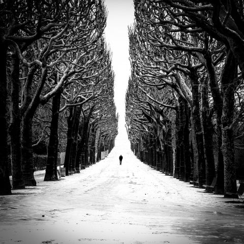 Loneliness