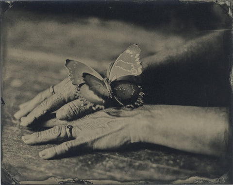 The Butterfly