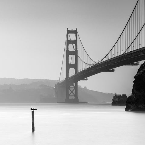 Golden Gate Bridge, Étude No. 5