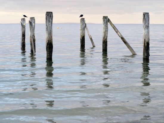 Pylons Flinders Australia