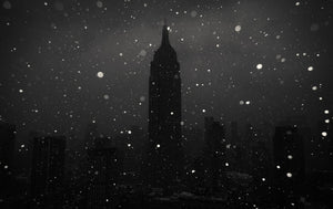 Late Night Snow, New York