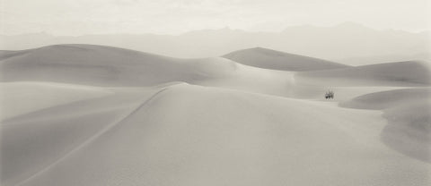 Lone Bush Death Valley 