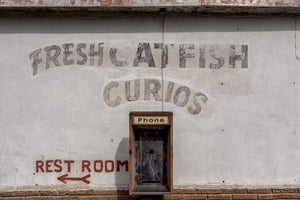 Catfish Curios