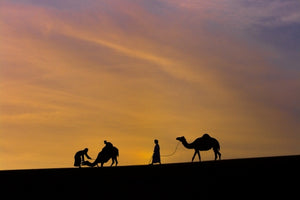 The Caravan. Oman