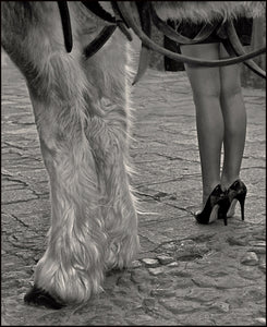 Hooves And Heels