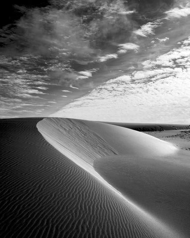 Vertical Dune, Oregon