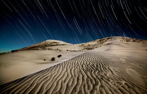 Dune Trails
