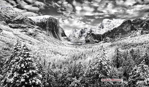 Wonderland In Snow - Yosemite