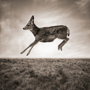 Leap