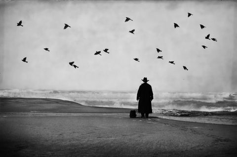 Man In Black With Birds