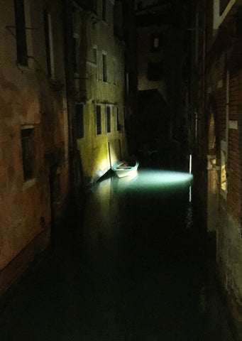 Light In The Dark