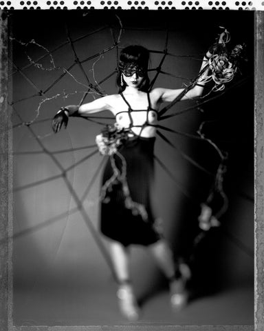 A Woman In The Spiders Web