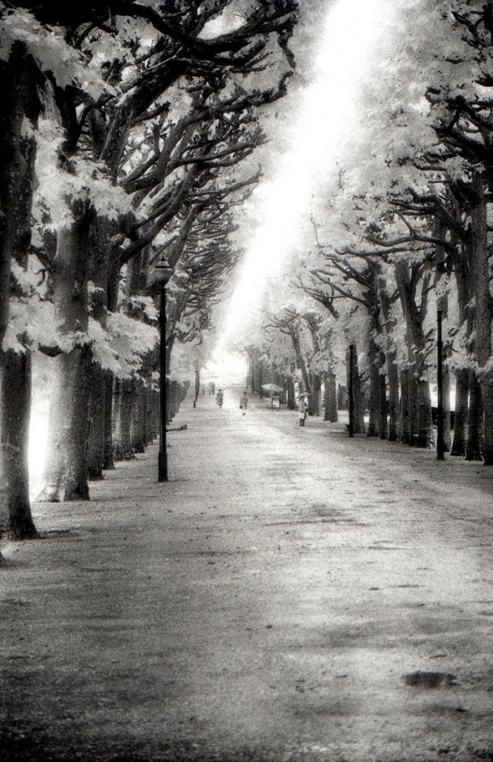 Tuilleries Stroll