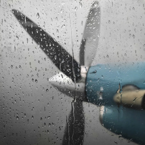 Rainy Day Flight