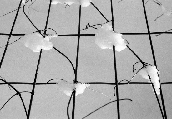 Snow On Fence