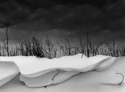 Snow Drift, Oregon