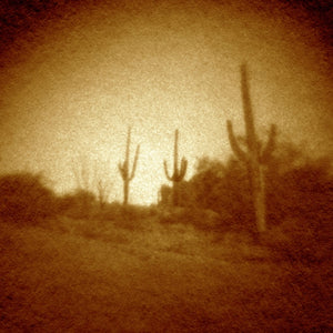 Saguaro Way