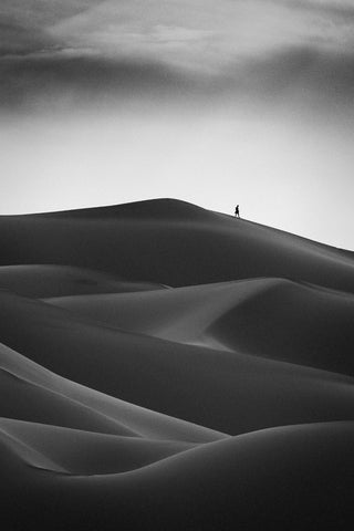 Solitude In The Sands