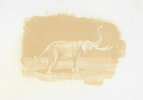 Henry The Elefante In Yellow